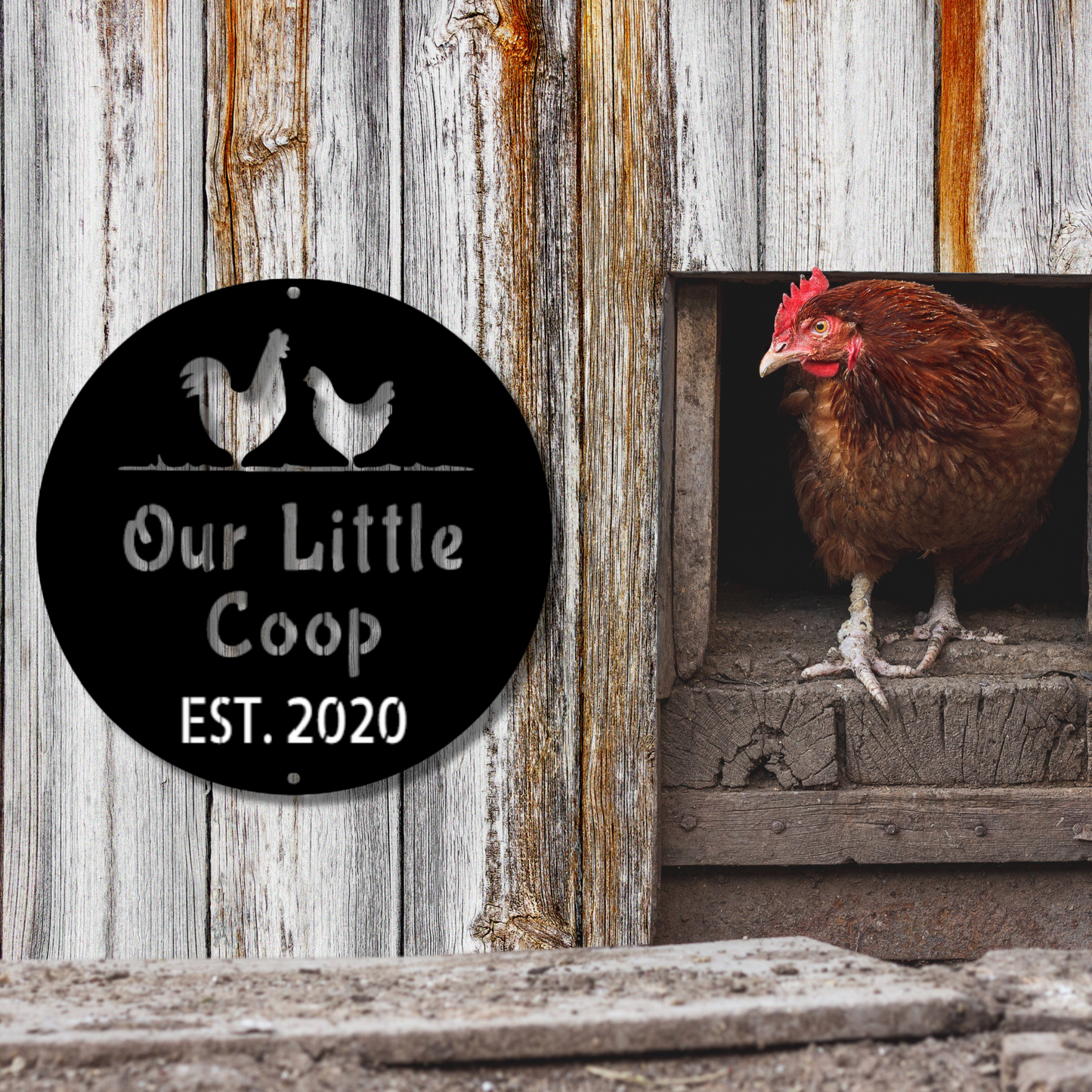 Chicken Coop - Steel Sign, Chicken Lover, Personalized Chicken Gift, Wall Art, Outdoor Signs, Metal Signs, Metal Decorative Sign
