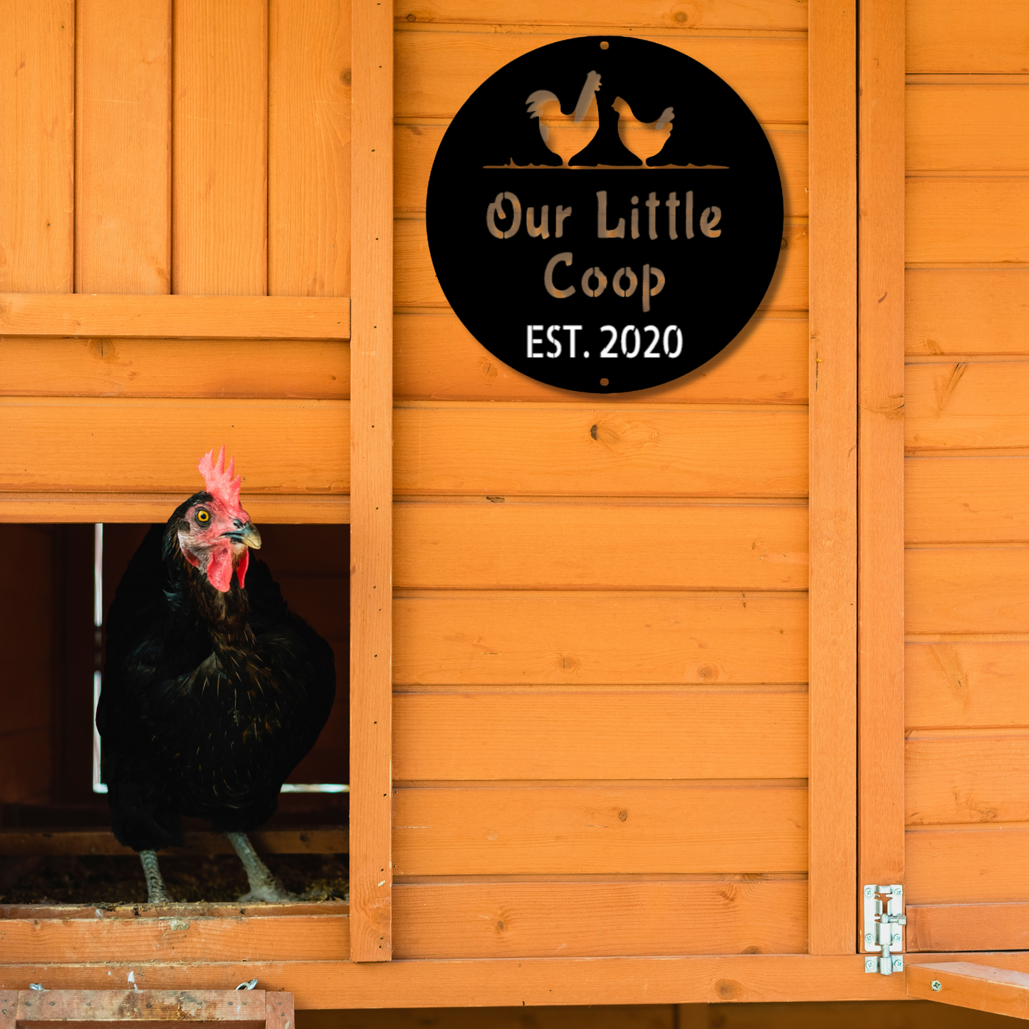 Chicken Coop - Steel Sign, Chicken Lover, Personalized Chicken Gift, Wall Art, Outdoor Signs, Metal Signs, Metal Decorative Sign